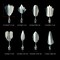 Art Cake Tools, 22 PCS 3D Gelatin Jelly Tools Includes 20 PCS Gelatin Tools and 2 PCS 10ml Syringe Pudding Pastry Nozzles for Cake Decoration, Jelly Cake making